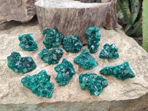Natural Dioptase Specimens on Dolomite Matrix x 12 From Tantara Mine, Congo - Toprock Gemstones and Minerals 