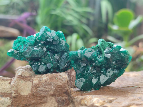 Natural Dioptase Specimens on Dolomite Matrix x 12 From Tantara Mine, Congo - Toprock Gemstones and Minerals 