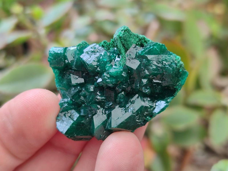 Natural Dioptase Specimens on Dolomite Matrix x 12 From Tantara Mine, Congo - Toprock Gemstones and Minerals 