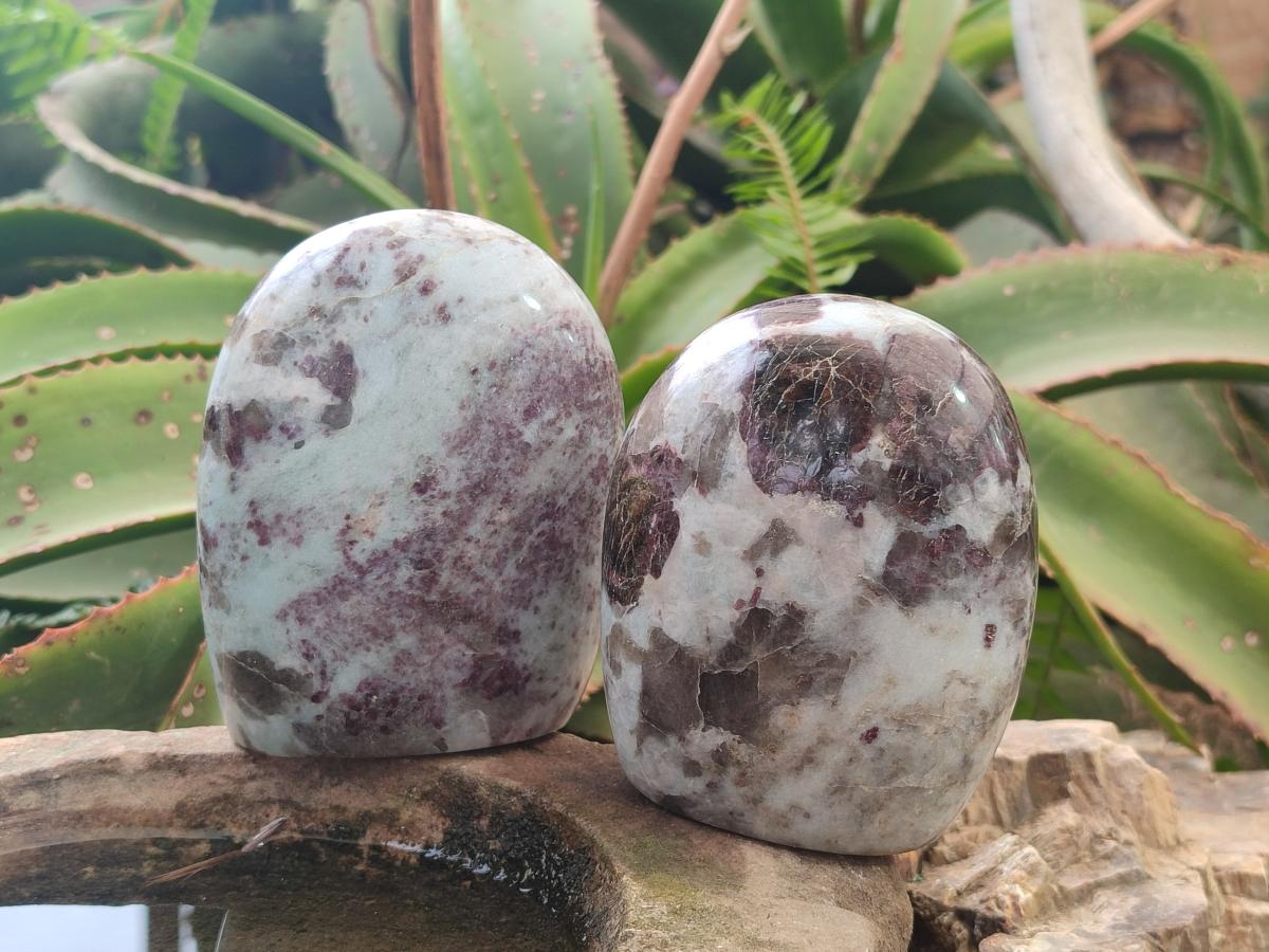 Polished Rubellite Pink Tourmaline Standing Display Pieces x 5 From Ambatondrazaka, Madagascar - Toprock Gemstones and Minerals 
