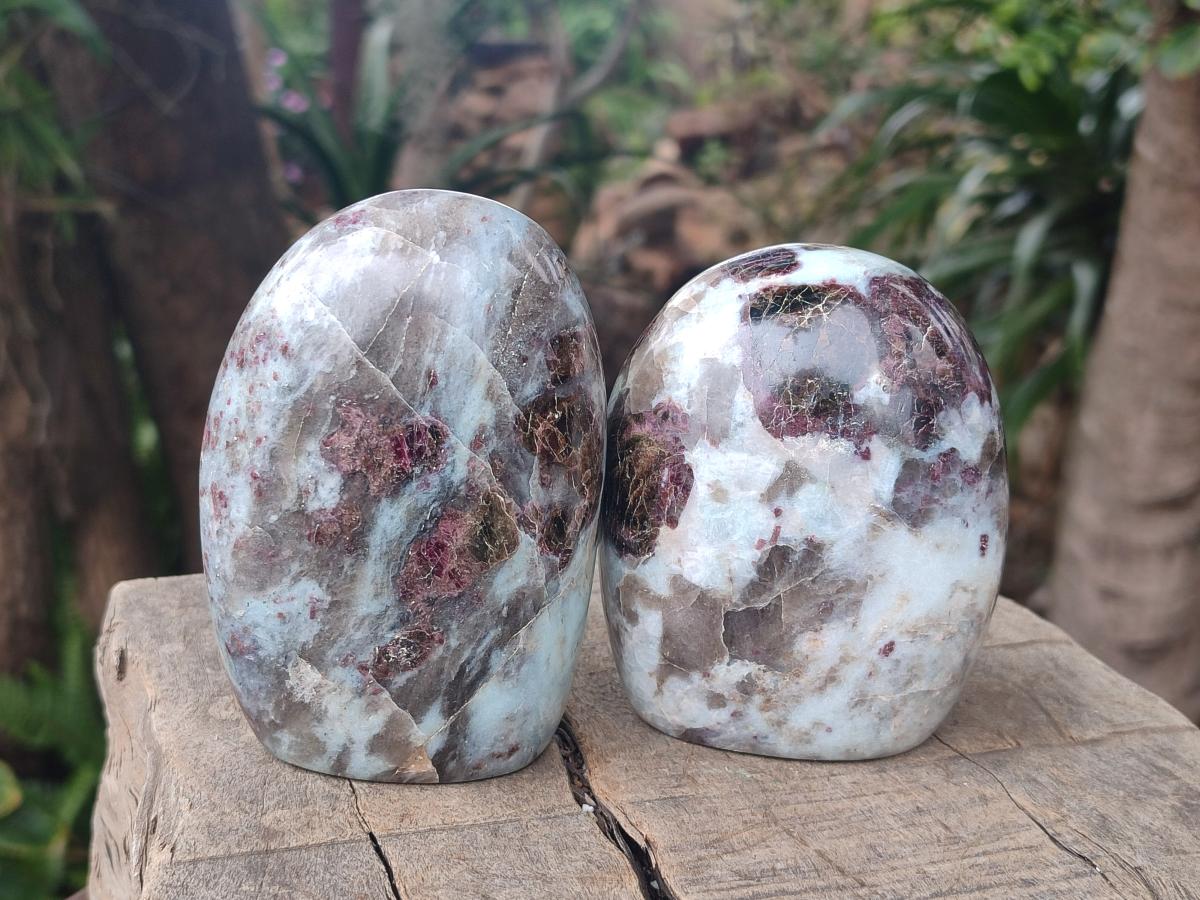 Polished Rubellite Pink Tourmaline Standing Display Pieces x 5 From Ambatondrazaka, Madagascar - Toprock Gemstones and Minerals 