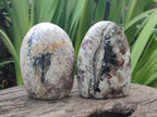 Polished Rubellite Pink Tourmaline Standing Display Pieces x 5 From Ambatondrazaka, Madagascar - Toprock Gemstones and Minerals 