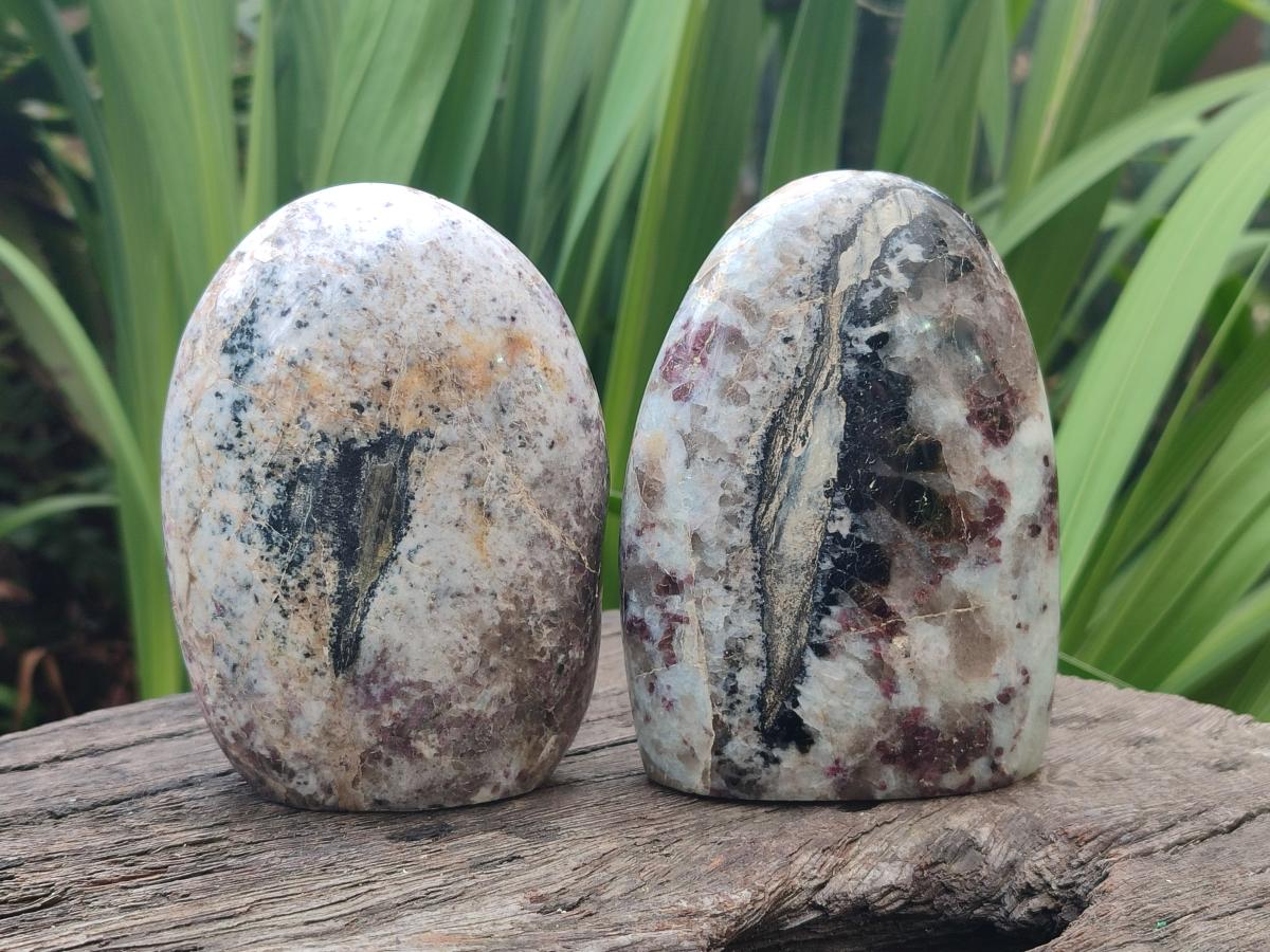 Polished Rubellite Pink Tourmaline Standing Display Pieces x 5 From Ambatondrazaka, Madagascar - Toprock Gemstones and Minerals 