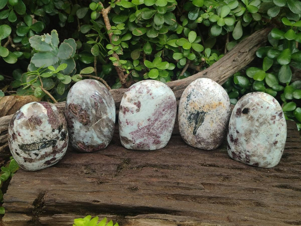 Polished Rubellite Pink Tourmaline Standing Display Pieces x 5 From Ambatondrazaka, Madagascar - Toprock Gemstones and Minerals 
