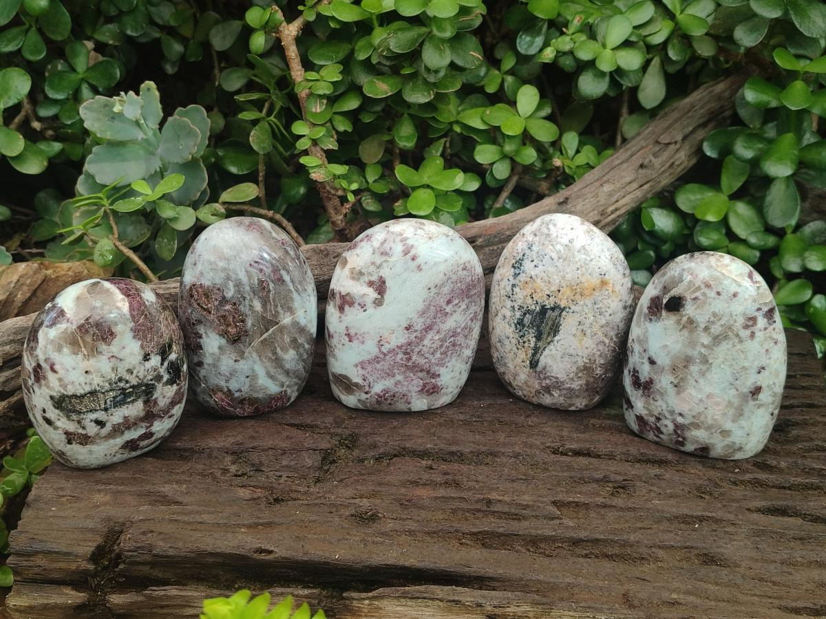 Polished Rubellite Pink Tourmaline Standing Display Pieces x 5 From Ambatondrazaka, Madagascar - Toprock Gemstones and Minerals 