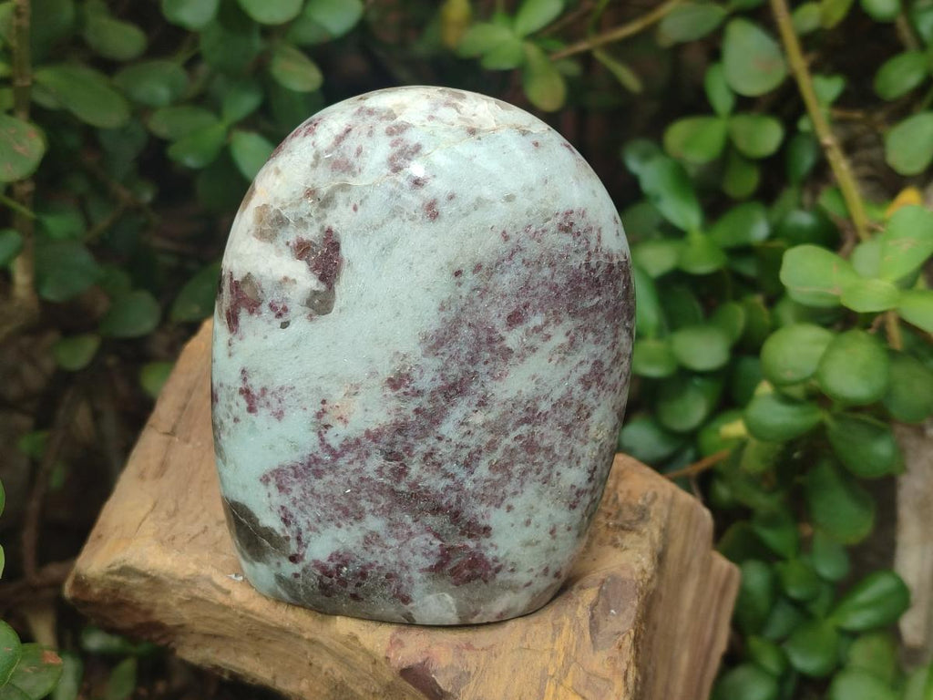 Polished Rubellite Pink Tourmaline Standing Display Pieces x 5 From Ambatondrazaka, Madagascar - Toprock Gemstones and Minerals 