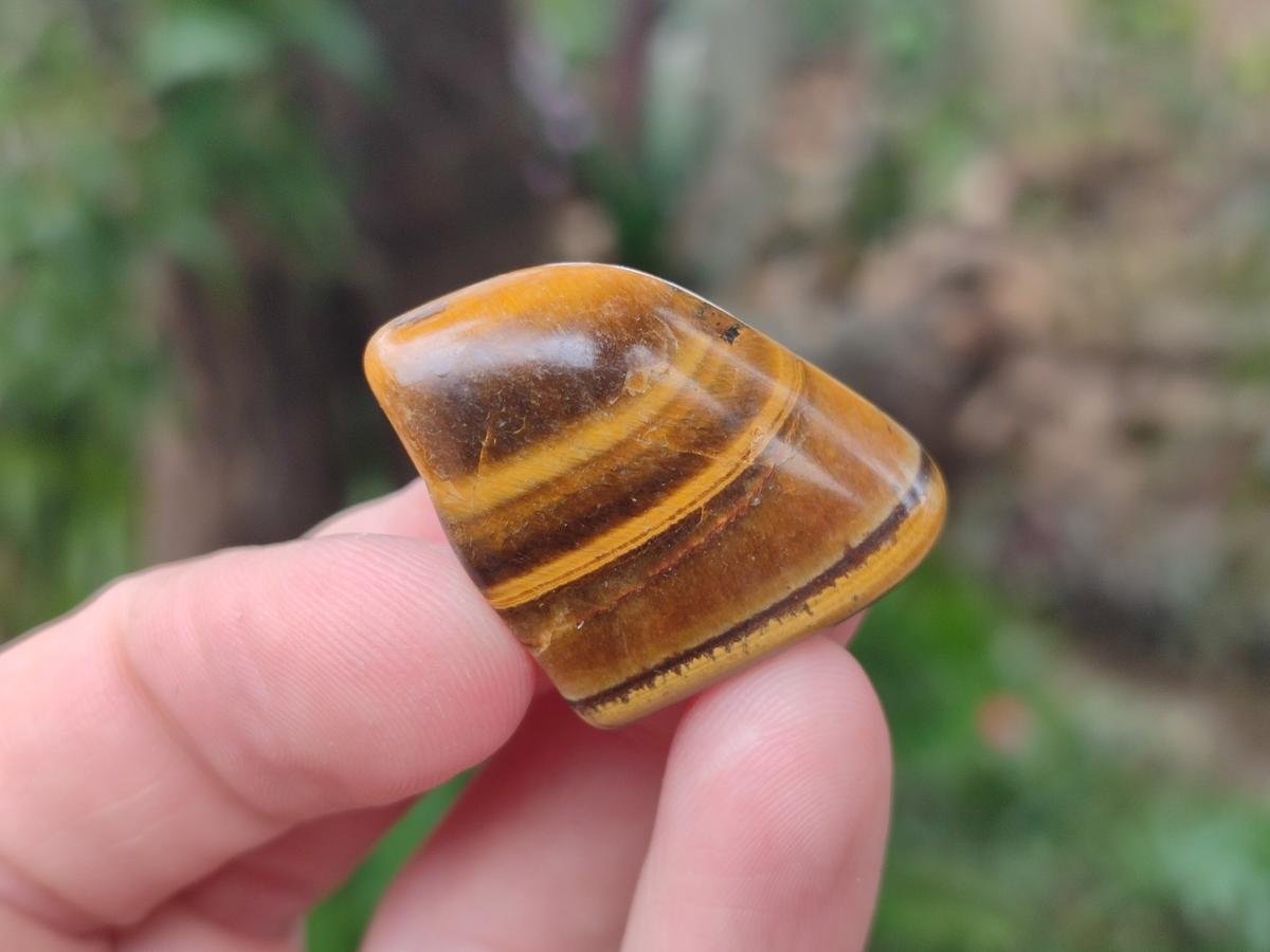 Polished Golden Tigers Eye Tumbled Slices x 2,05 Kg Lot From Prieska, South Africa - Toprock Gemstones and Minerals 