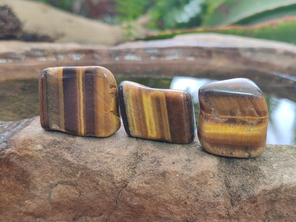 Polished Golden Tigers Eye Tumbled Slices x 2,05 Kg Lot From Prieska, South Africa - Toprock Gemstones and Minerals 