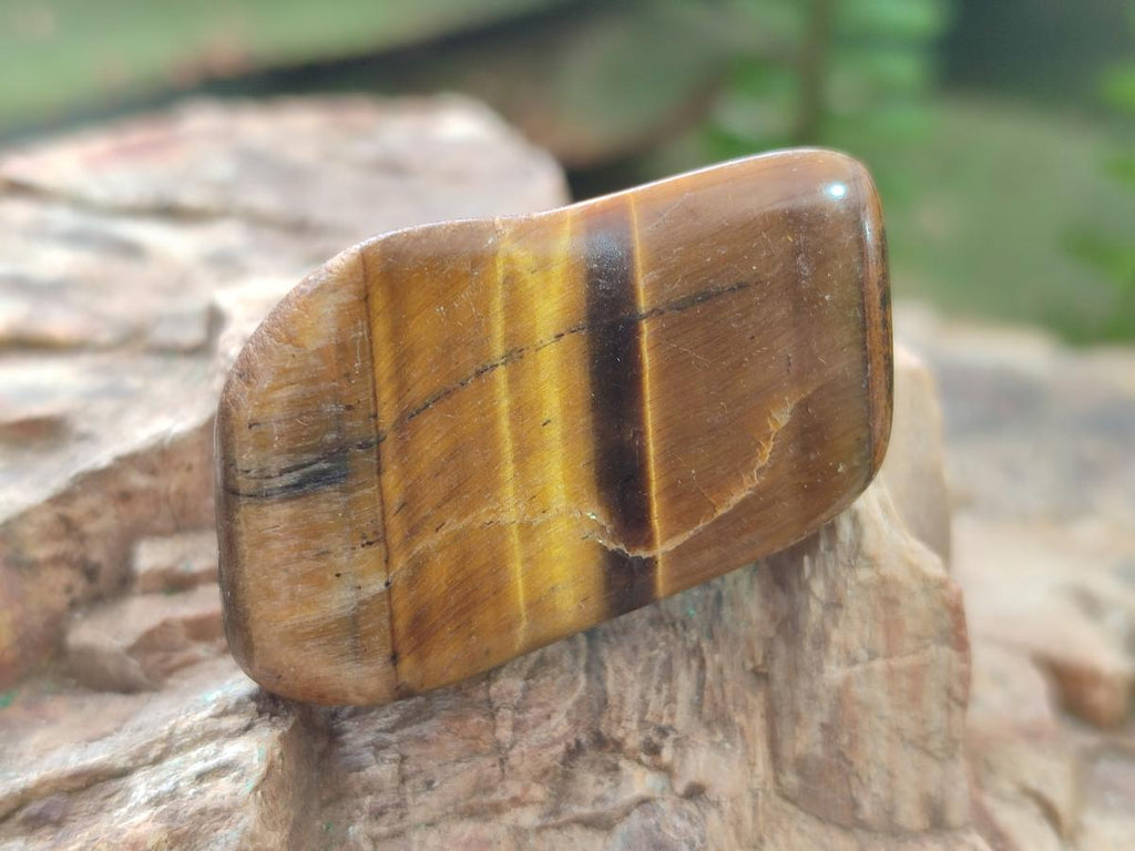 Polished Golden Tigers Eye Tumbled Slices x 2,05 Kg Lot From Prieska, South Africa - Toprock Gemstones and Minerals 