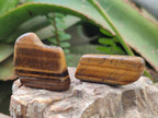 Polished Golden Tigers Eye Tumbled Slices x 2,05 Kg Lot From Prieska, South Africa - Toprock Gemstones and Minerals 