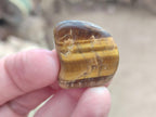 Polished Golden Tigers Eye Tumbled Slices x 2,05 Kg Lot From Prieska, South Africa - Toprock Gemstones and Minerals 