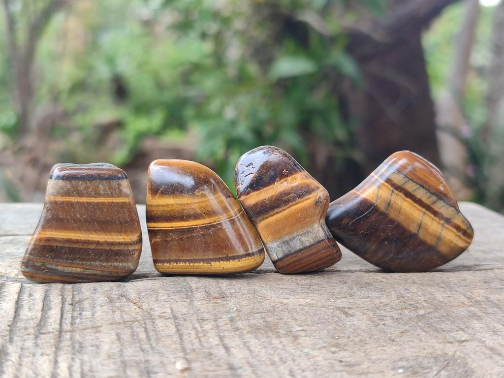 Polished Golden Tigers Eye Tumbled Slices x 2,05 Kg Lot From Prieska, South Africa - Toprock Gemstones and Minerals 
