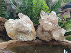 Natural Cascading Clear Champagne Citrine Quartz Clusters x 2 From Luena, Congo - Toprock Gemstones and Minerals 