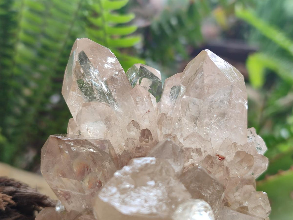 Natural Cascading Clear Champagne Citrine Quartz Clusters x 2 From Luena, Congo - Toprock Gemstones and Minerals 