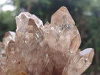 Natural Cascading Clear Champagne Citrine Quartz Clusters x 2 From Luena, Congo - Toprock Gemstones and Minerals 
