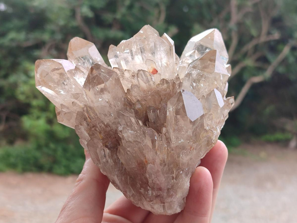 Natural Cascading Clear Champagne Citrine Quartz Clusters x 2 From Luena, Congo - Toprock Gemstones and Minerals 