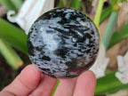 Polished Gabbro 'Merlinite' Spheres x 6 From Ambatofinandrahana, Madagascar - Toprock Gemstones and Minerals 