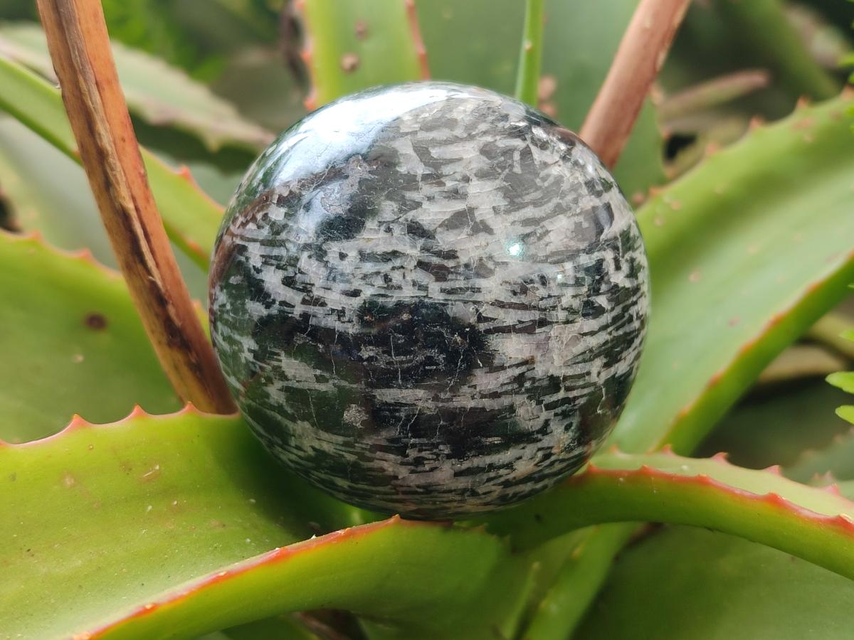 Polished Gabbro 'Merlinite' Spheres x 6 From Ambatofinandrahana, Madagascar - Toprock Gemstones and Minerals 