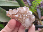 Natural Mix of Spirit Quartz Clusters x 12 From Boekenhouthoek, South Africa - Toprock Gemstones and Minerals 