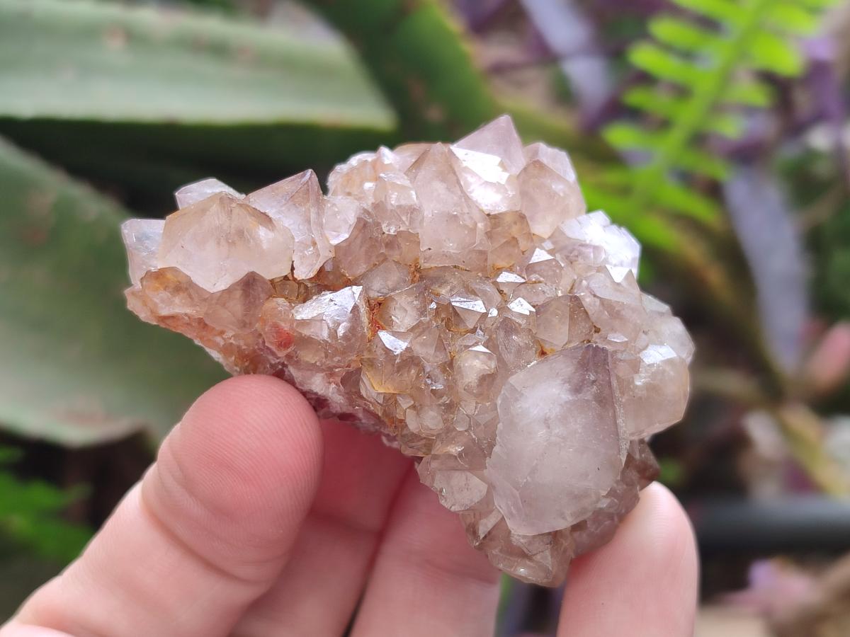 Natural Mix of Spirit Quartz Clusters x 12 From Boekenhouthoek, South Africa - Toprock Gemstones and Minerals 
