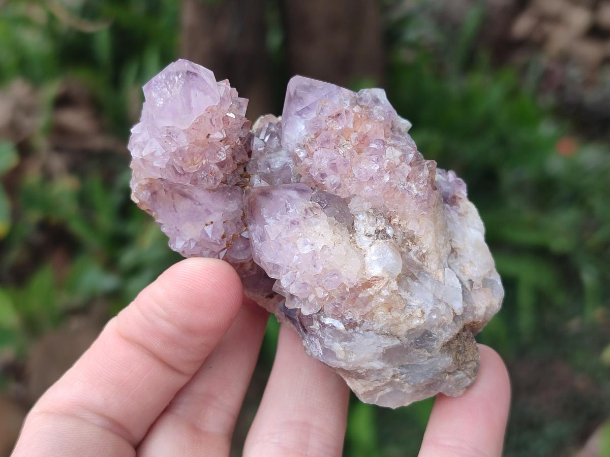 Natural Mix of Spirit Quartz Clusters x 12 From Boekenhouthoek, South Africa - Toprock Gemstones and Minerals 