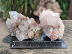 Natural Mix of Spirit Quartz Clusters x 12 From Boekenhouthoek, South Africa - Toprock Gemstones and Minerals 