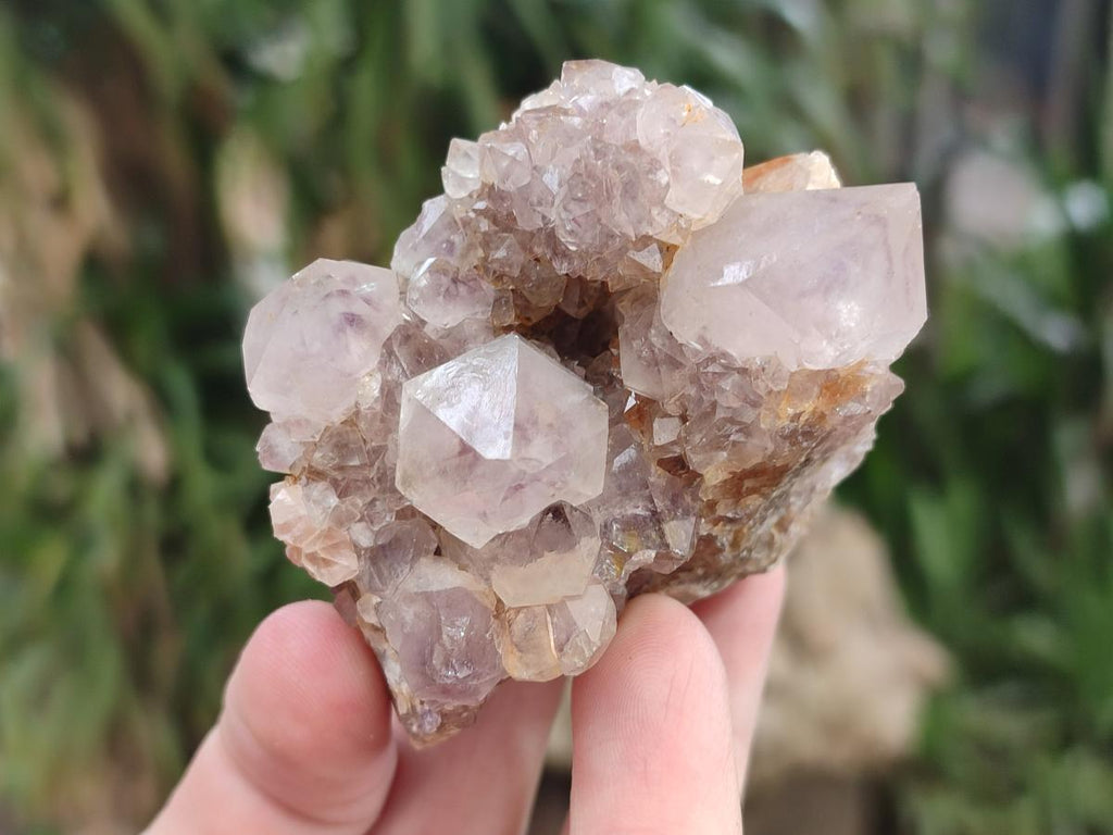 Natural Mix of Spirit Quartz Clusters x 12 From Boekenhouthoek, South Africa - Toprock Gemstones and Minerals 