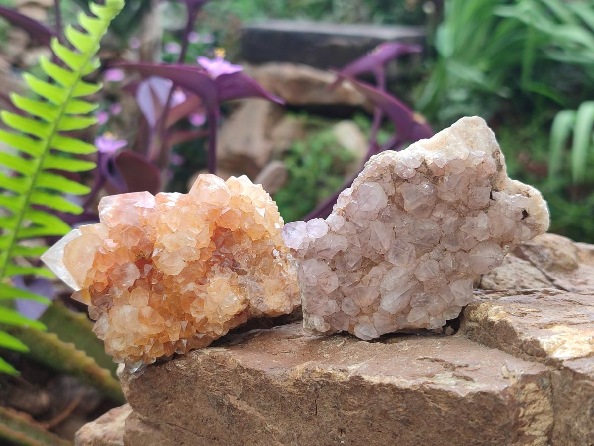 Natural Mix of Spirit Quartz Clusters x 12 From Boekenhouthoek, South Africa - Toprock Gemstones and Minerals 