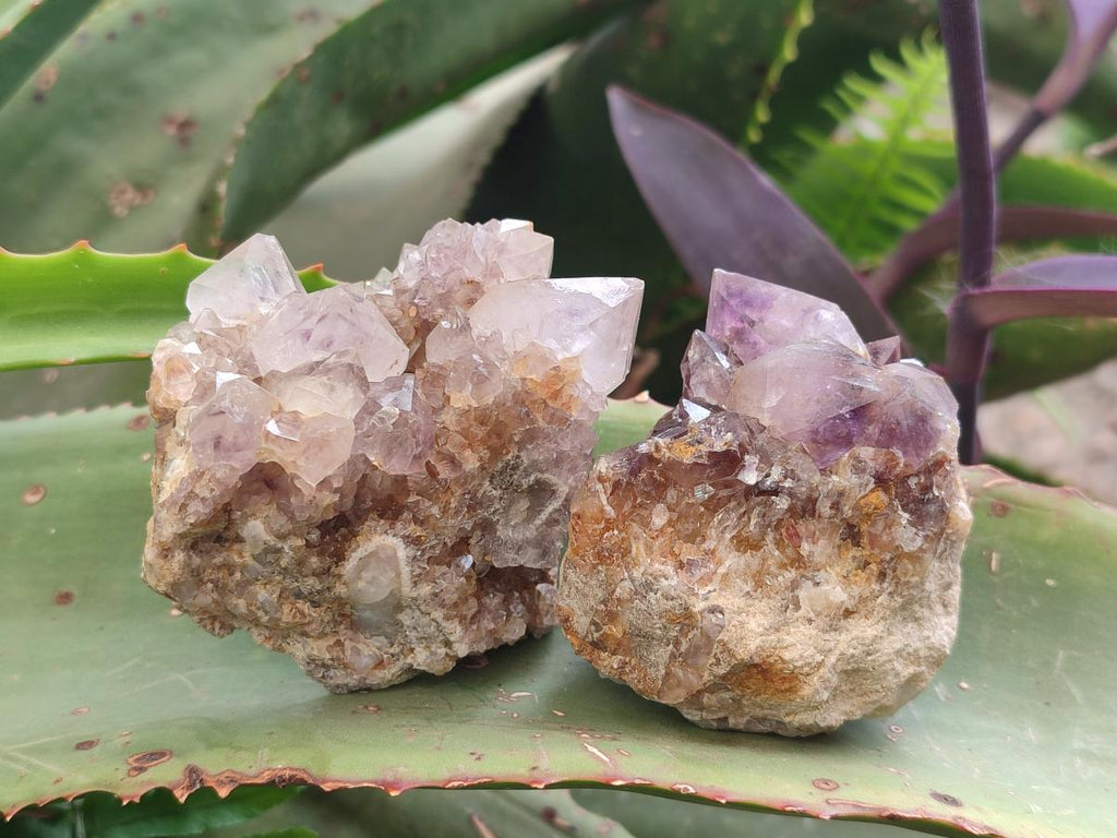 Natural Mix of Spirit Quartz Clusters x 12 From Boekenhouthoek, South Africa - Toprock Gemstones and Minerals 