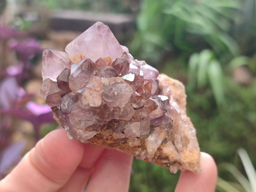 Natural Mix of Spirit Quartz Clusters x 12 From Boekenhouthoek, South Africa - Toprock Gemstones and Minerals 