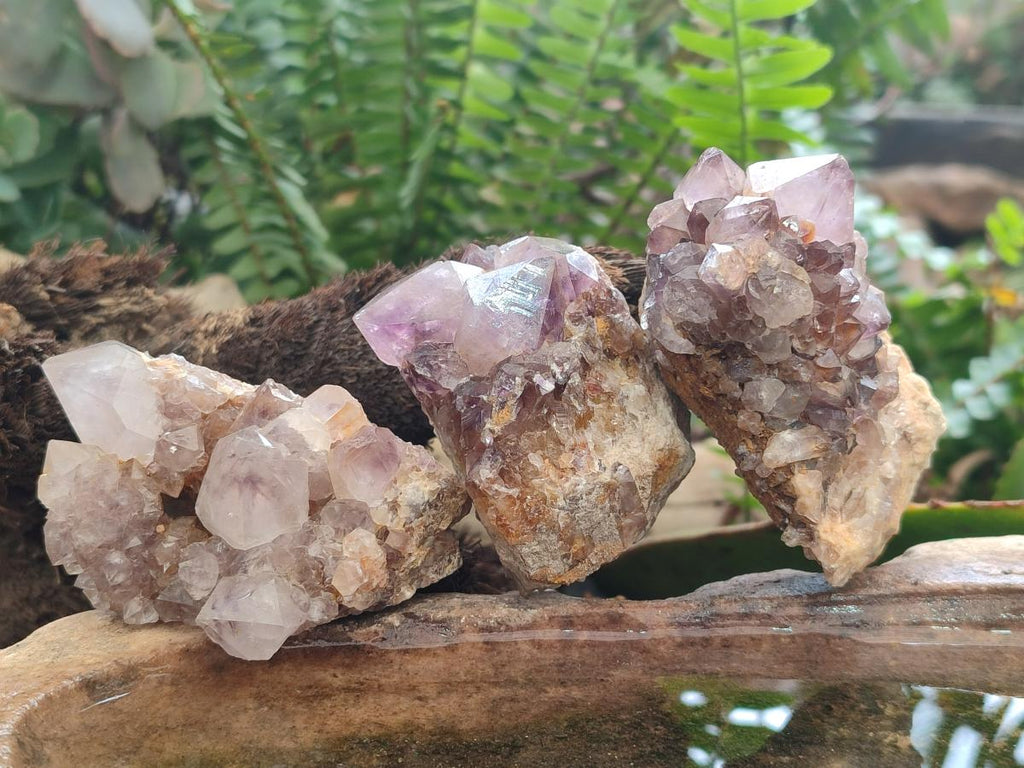 Natural Mix of Spirit Quartz Clusters x 12 From Boekenhouthoek, South Africa - Toprock Gemstones and Minerals 