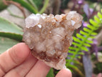 Natural Mix of Spirit Quartz Clusters x 12 From Boekenhouthoek, South Africa - Toprock Gemstones and Minerals 