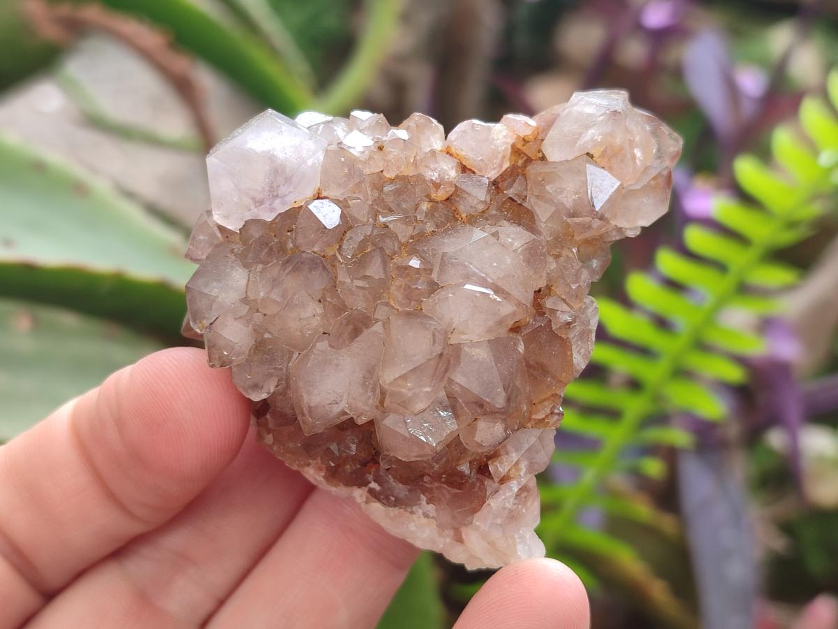 Natural Mix of Spirit Quartz Clusters x 12 From Boekenhouthoek, South Africa - Toprock Gemstones and Minerals 