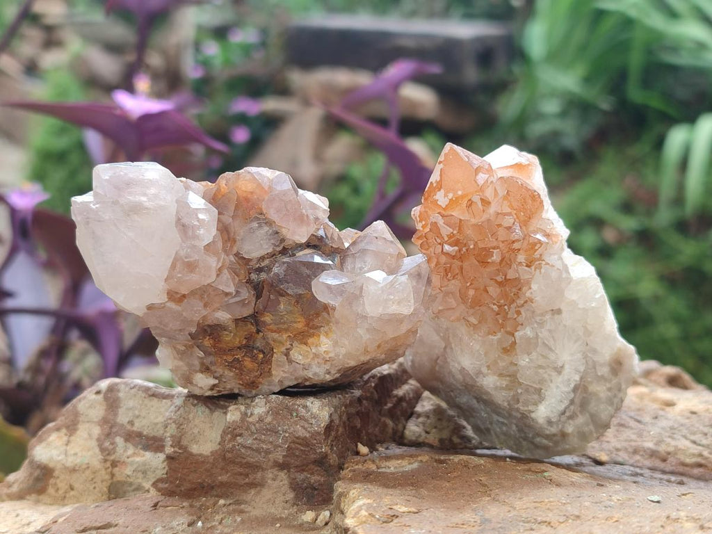 Natural Mix of Spirit Quartz Clusters x 12 From Boekenhouthoek, South Africa - Toprock Gemstones and Minerals 