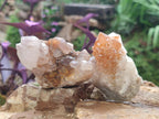 Natural Mix of Spirit Quartz Clusters x 12 From Boekenhouthoek, South Africa - Toprock Gemstones and Minerals 