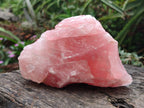 Natural Cobbed Rose Quartz Specimens x 10 From Northern Cape, South Africa - Toprock Gemstones and Minerals 