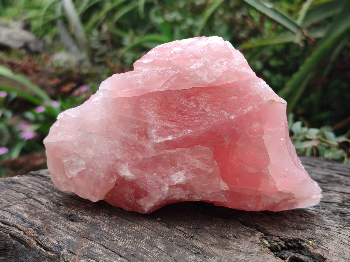 Natural Cobbed Rose Quartz Specimens x 10 From Northern Cape, South Africa - Toprock Gemstones and Minerals 