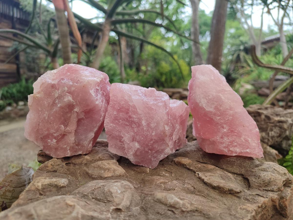 Natural Cobbed Rose Quartz Specimens x 10 From Northern Cape, South Africa - Toprock Gemstones and Minerals 