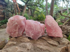 Natural Cobbed Rose Quartz Specimens x 10 From Northern Cape, South Africa - Toprock Gemstones and Minerals 