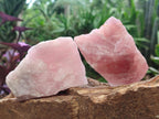 Natural Cobbed Rose Quartz Specimens x 10 From Northern Cape, South Africa - Toprock Gemstones and Minerals 