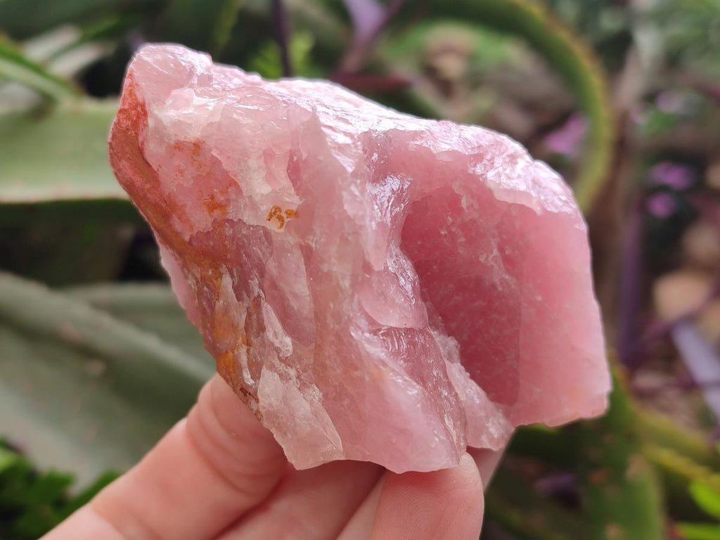 Natural Cobbed Rose Quartz Specimens x 10 From Northern Cape, South Africa - Toprock Gemstones and Minerals 