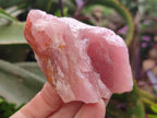 Natural Cobbed Rose Quartz Specimens x 10 From Northern Cape, South Africa - Toprock Gemstones and Minerals 