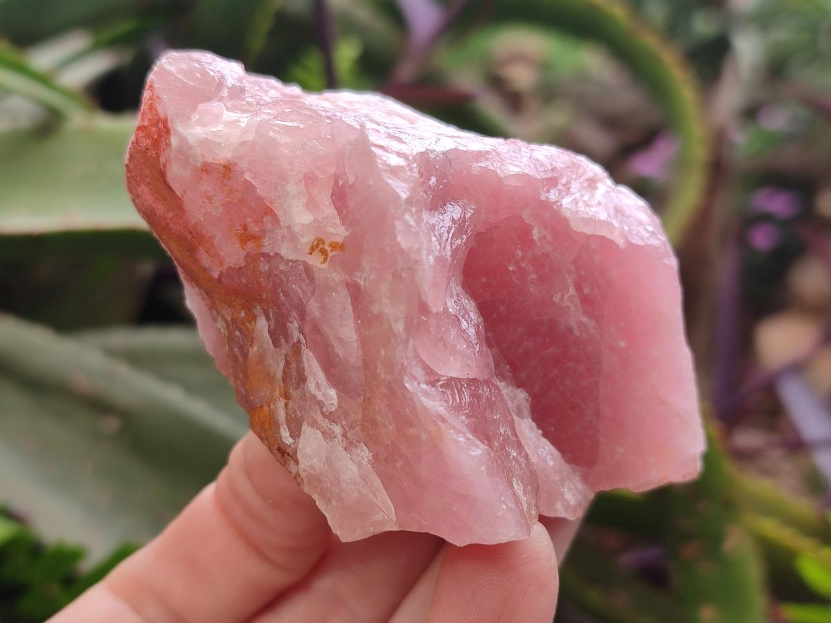 Natural Cobbed Rose Quartz Specimens x 10 From Northern Cape, South Africa - Toprock Gemstones and Minerals 