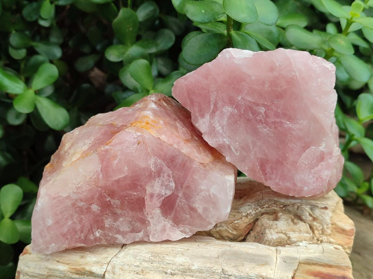 Natural Cobbed Rose Quartz Specimens x 10 From Northern Cape, South Africa - Toprock Gemstones and Minerals 