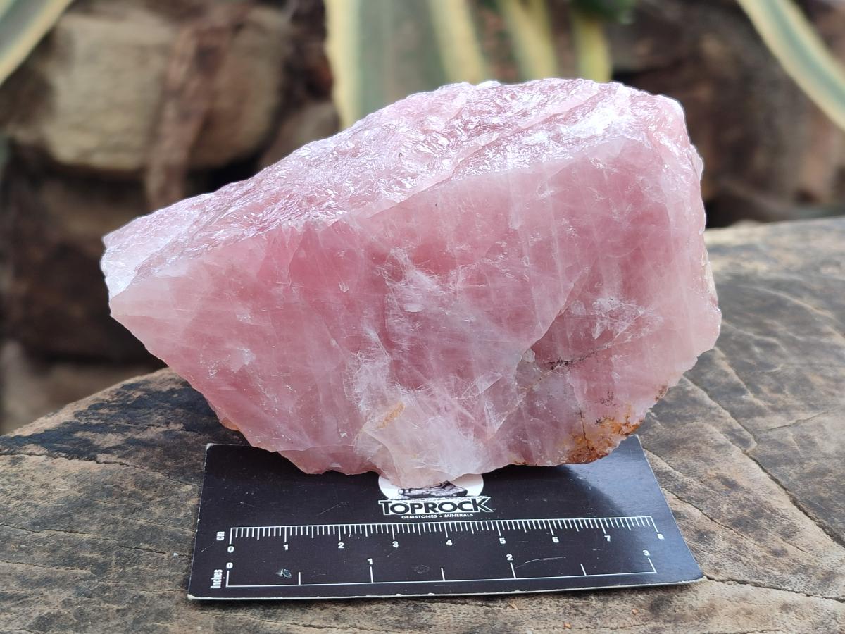 Natural Cobbed Rose Quartz Specimens x 10 From Northern Cape, South Africa - Toprock Gemstones and Minerals 