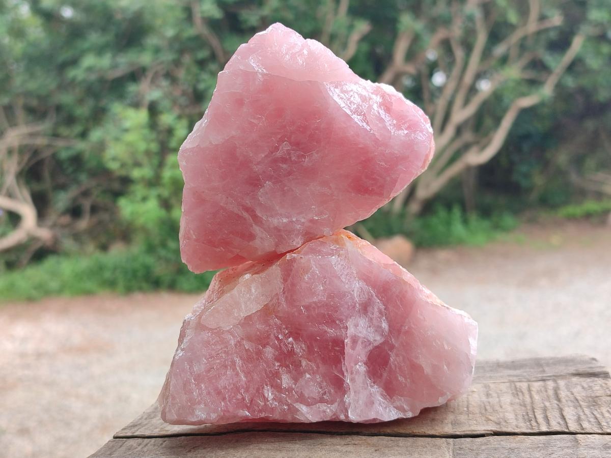 Natural Cobbed Rose Quartz Specimens x 10 From Northern Cape, South Africa - Toprock Gemstones and Minerals 