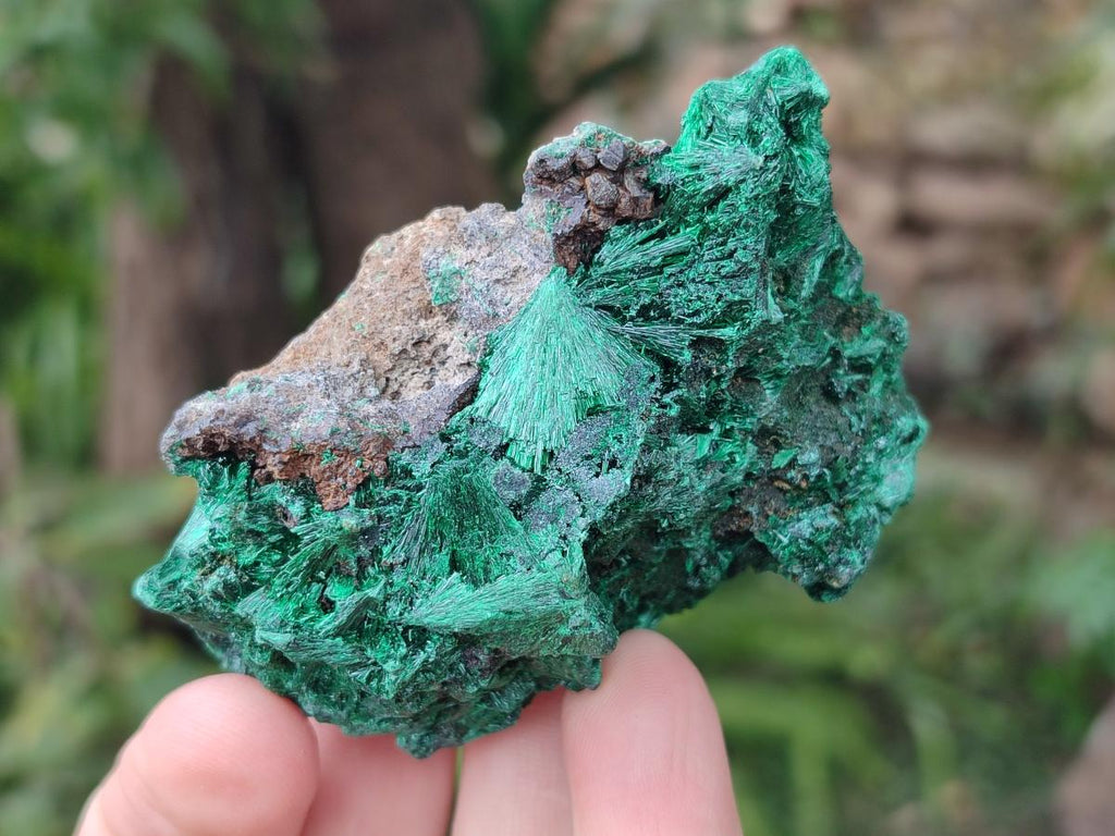 Natural Silky Malachite Specimens x 13 From Kasompe, Congo - Toprock Gemstones and Minerals 