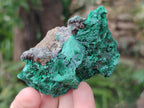 Natural Silky Malachite Specimens x 13 From Kasompe, Congo - Toprock Gemstones and Minerals 