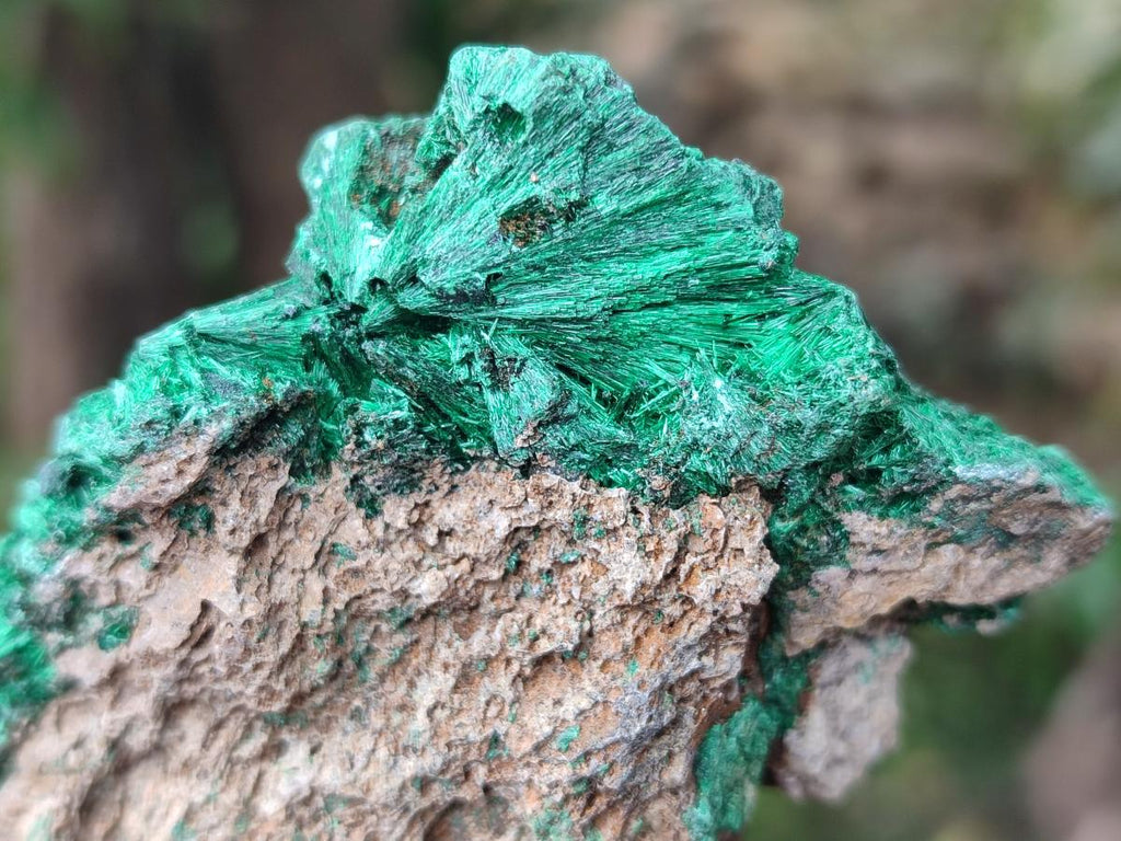 Natural Silky Malachite Specimens x 13 From Kasompe, Congo - Toprock Gemstones and Minerals 