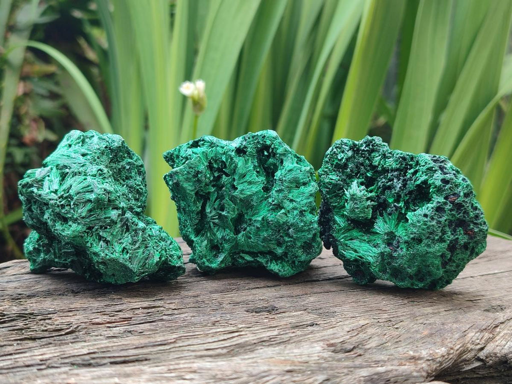 Natural Silky Malachite Specimens x 13 From Kasompe, Congo - Toprock Gemstones and Minerals 